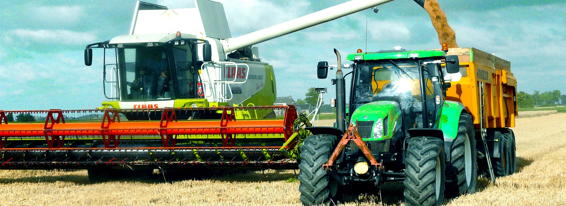 Linxi  Județul  Weishida  Rulment  Fabricare  Co.,Ltd